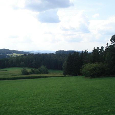 Haus Hoenigsgrub Rinchnach Kültér fotó